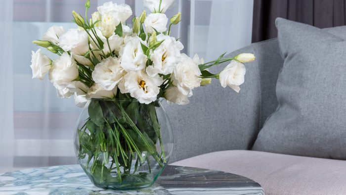 Pexels Max Rahubovskiy 6283840